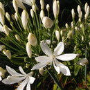 Unterwegs in Cornwall: Gulval bei Penzance