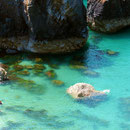 Kynance Cove