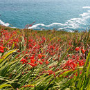 Cornwall: Küste bei Minnack