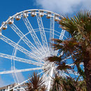 Torquay