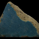 Echantillon 399/3. Fouilles de l'Ak Saray de 1996.  Conservé au Musée Amir Temur de Shahrisabz (photo : C.Ollagnier, 2008)