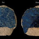 Echantillon 592/15. Fouilles de l'Ak Saray de 1996.  Conservé au Musée Amir Temur de Shahrisabz (photo : C.Ollagnier, 2008)