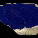 Echantillon BDX 8056. Fouilles de l'Ak Saray de 1996.  Conservé au Musée Amir Temur de Shahrisabz (photo : C.Ollagnier, 2008)