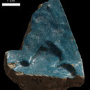 Echantillon 641/9. Fouilles de l'Ak Saray de 1996.  Conservé au Musée Amir Temur de Shahrisabz (photo : C.Ollagnier, 2008)