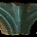 Echantillon 641/20. Fouilles de l'Ak Saray de 1996.  Conservé au Musée Amir Temur de Shahrisabz (photo : C.Ollagnier, 2008)