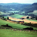 Am 08.09.1999 war 52 8095 im Rahmen des Eifelplandampfes auf der Eifelquerbahn unterwegs, hier bei Rockeskyll - Foto: Reinhard Gumbert