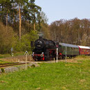 Ohne Kraftanstrengung rollt der Zug bei Höchstberg hinab in Richtung Ulmen - Foto: Joachim Francini III