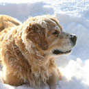 Benjamin vom Kalkbrennerhaus