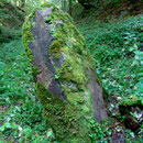 Une des trois pierres d'Haravesnes- 2011