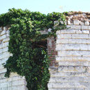 Le moulin d'Heuzecourt
