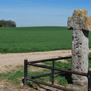 Fontaine-sur-Somme