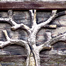Détails de la façade