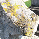 Au cimetière de Vismes-au-Val