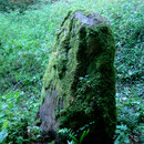 Une des trois pierres d'Haravesnes- 2011