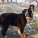 das war noch im Schnee und war im Januar 2012
