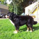 Lady bei Sonnenschein ;)