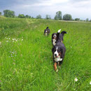 ... Wind :) 