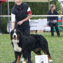 Lady in Babenhausen V1 CAC VDH