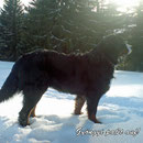 Im Januar 2009 - 2 Jahre und 9 Monate
