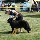 Ariba in Hannover Garbsen 2009
