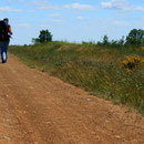 am camino 01