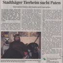 12.12.2008 - Schaumburger Nachrichten