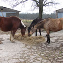 jahmi freeesssen :-)