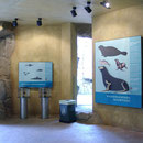 Seebärengrotte im Zoo Frankfurt
