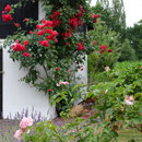 Landhausgarten I Sankt Augustin