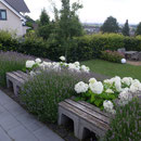 Moderner Pflegeleichter Familiengarten I Bornheim-Rheinland