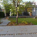 Urbaner Stadtgarten I Troisdorf