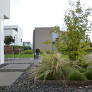 "Bauhaus"-Privatgarten I Neubau Einfamilienhaus I Mainz