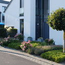 Linearer Vorgarten I Bornheim-Rheinland