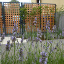 Stadt-Kunst-Garten I Neuwied 