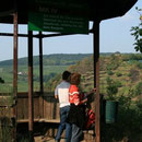 Rotweinwanderweg 2009