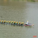Dracheboot im Hafen Düsseldorf 2009