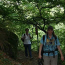 Rotweinwanderweg 2009