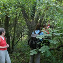 Rotweinwanderweg 2009