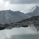 Stellihorn