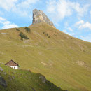 Bietstöck