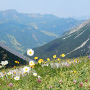 Brandnertal