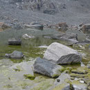 unterhalb der Brittaniahütte