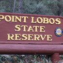 Einer davon ist der Point Lobos State Reserve