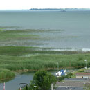 seichtes Ufer und riesige Seegrasfläche