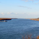 Der Mississippi bei Natchez