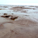 Strand von Wolfville