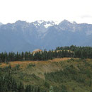 Blick auf das Besucherzentrum auf dem Hurricane Ridge mit Mount Olympus im Hintergrund