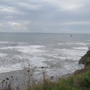Erster Blick auf die USA-Westküste am Kalaloch Beach