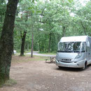 wieder einmal Ruhe im Wald