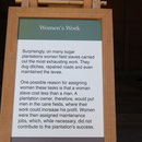 Frauenarbeit: Auf den meisten Zuckerrohrplantagen war es Aufgabe der Frauen, die härteste Arbeit zu erledigen. Sie mussten Gräben ausheben,  Strassen reparieren und sogar die Deiche unterhalten.